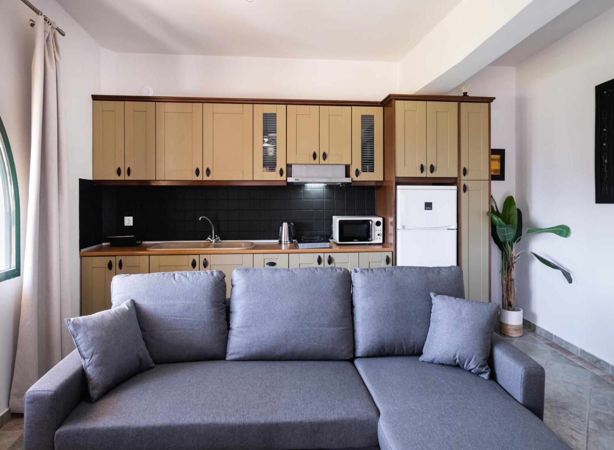 Ammos Family Apartments Vasiliki Zewnętrze zdjęcie